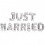 JUST MARRIED (실버)